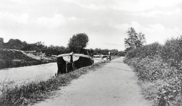 R0141 image R0141