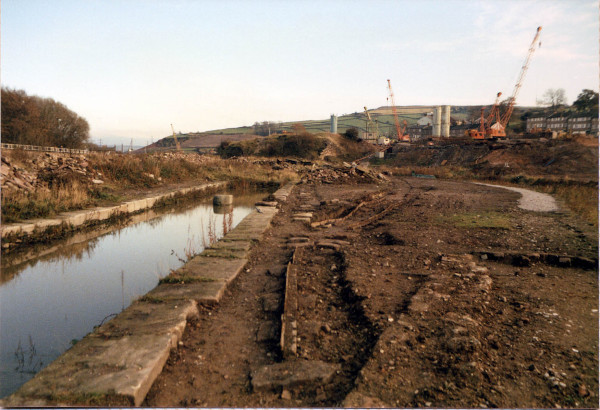 buried-tway-01 image buried-tway-01