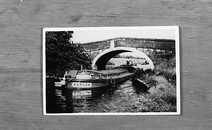 crt-stammers-bm-057 image crt-stammers-bm-057