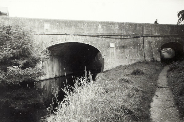 BW200-1-47-51 image BW200-1-47-51