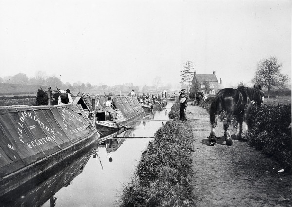 R0751 image R0751