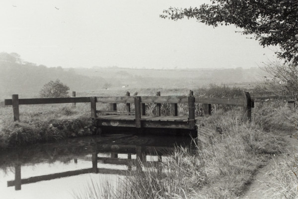 BW192-3-2-1-13-61 image BW192-3-2-1-13-61