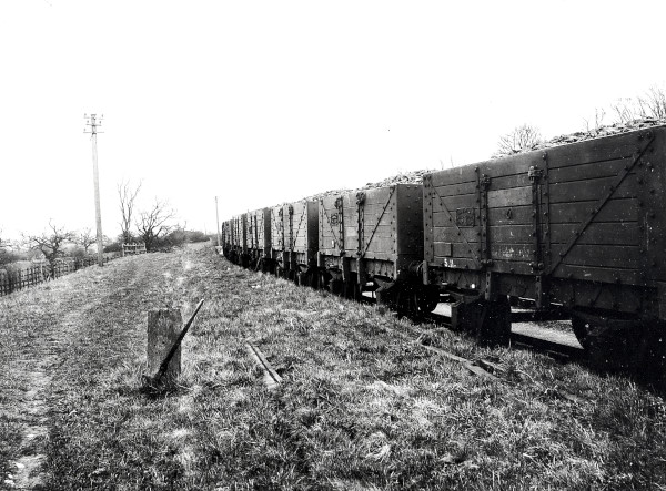 R0061 image R0061