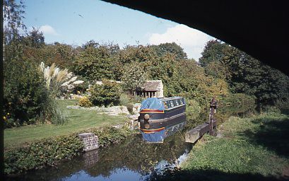 crt_wild_133 image crt_wild_133