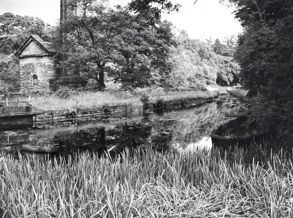 R0461 image R0461