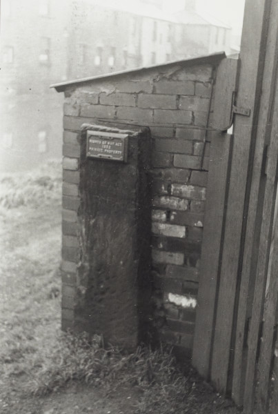 BW192-3-2-1-12-1-171 image BW192-3-2-1-12-1-171