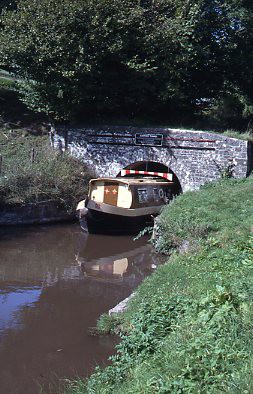 crt_wild_77 image crt_wild_77