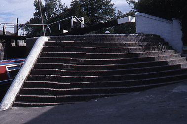 crt_wild_143 image crt_wild_143