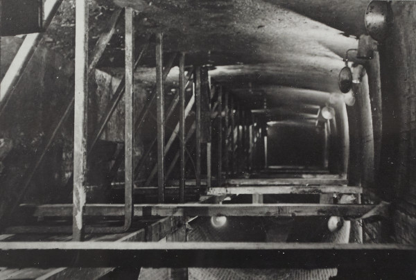 BW192-3-2-1-30-81 image BW192-3-2-1-30-81