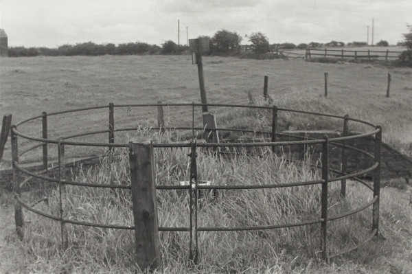 BW192-3-2-1-12-1-81 image BW192-3-2-1-12-1-81