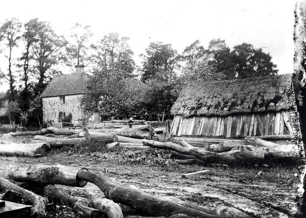 R0181 image R0181