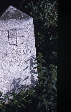 crt_wild_148 image crt_wild_148