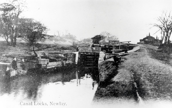R0481 image R0481