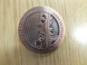 image elpbm2016-11 brindley 300 commemorative medal (2)