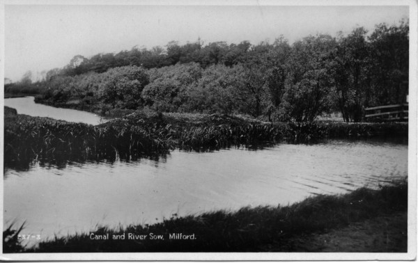 20022_0485 image 20022_0485