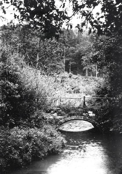 R0191 image R0191
