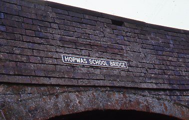 crt_wild_158 image crt_wild_158