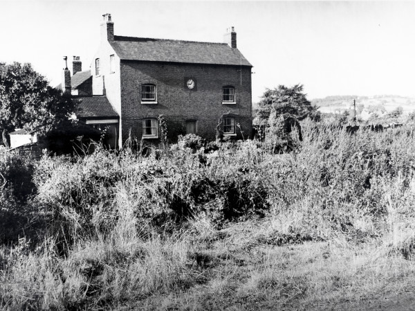 R0491 image R0491