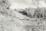 image BW200-1-16-10-2
