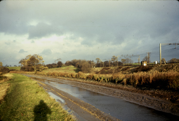 BW197-2-28-10-2 image BW197-2-28-10-2