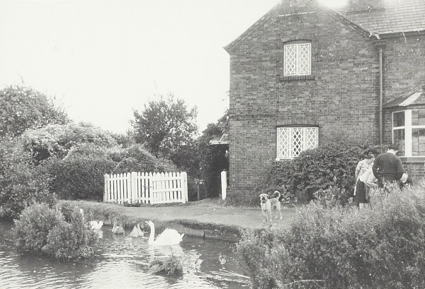 BW200-1-26-20-2 image BW200-1-26-20-2