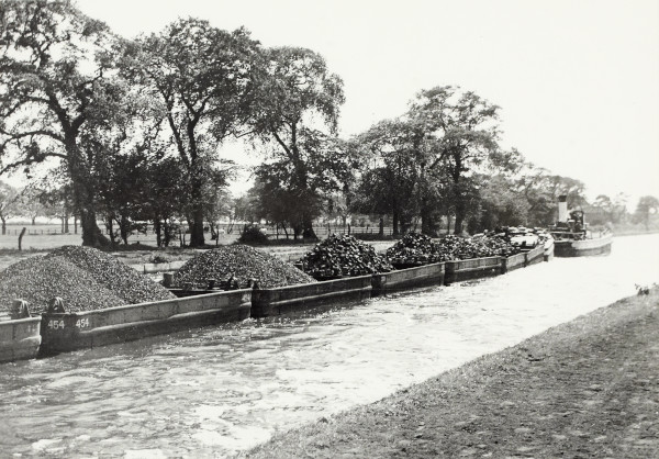 BW192-3-2-1-1-2 image BW192-3-2-1-1-2