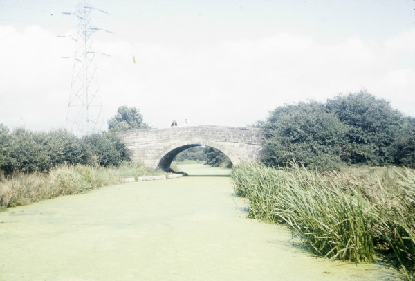 BW197-2-12-1-2 image BW197-2-12-1-2