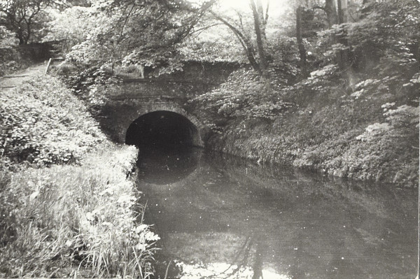 BW200-1-73-1-2 image BW200-1-73-1-2