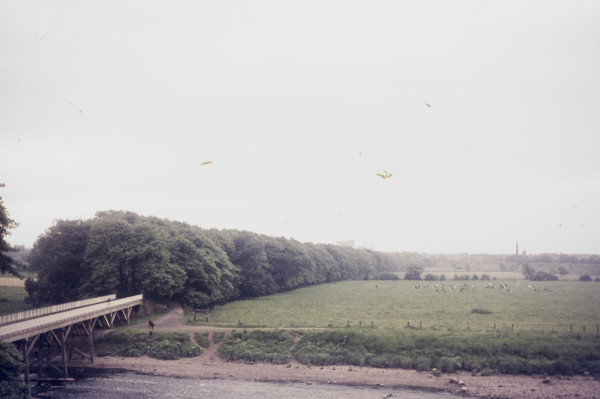 BW197-2-15-1-2 image BW197-2-15-1-2