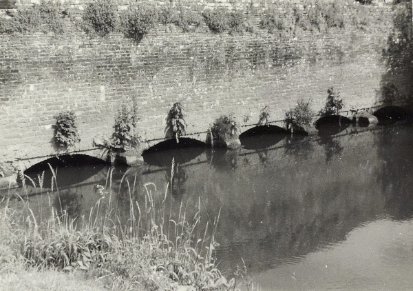 BW200-1-48-1-2 image BW200-1-48-1-2