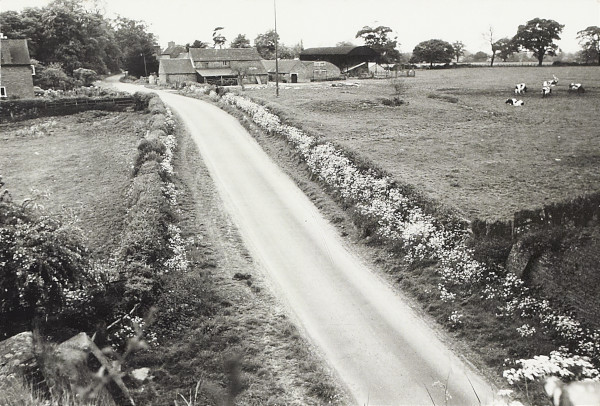 BW200-1-2-11-2 image BW200-1-2-11-2