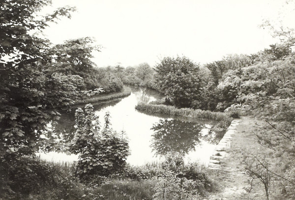 BW200-1-58-11-2 image BW200-1-58-11-2