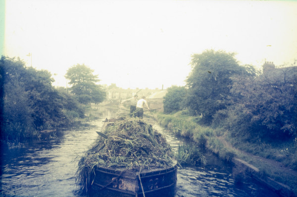 BW197-2-29-11-2 image BW197-2-29-11-2