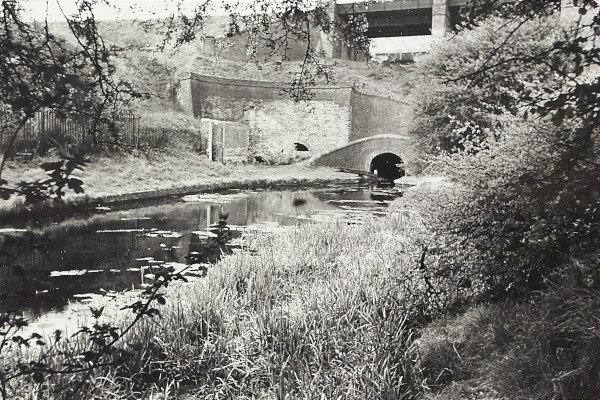 BW200-1-10-21-2 image BW200-1-10-21-2