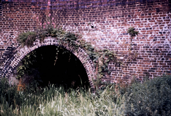 BW197-2-21-31-2 image BW197-2-21-31-2