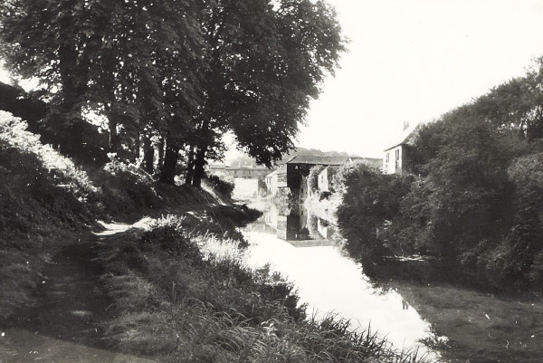 BW200-1-47-41-2 image BW200-1-47-41-2