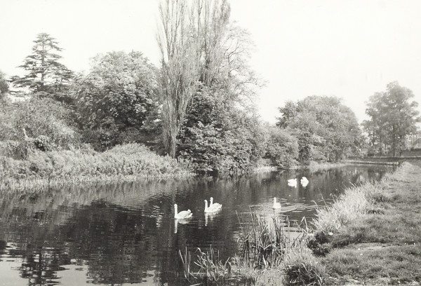 BW200-1-47-51-2 image BW200-1-47-51-2