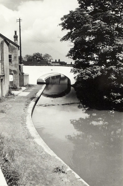 BW200-1-99-81-2 image BW200-1-99-81-2