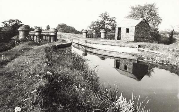 BW200-1-81-2-2 image BW200-1-81-2-2