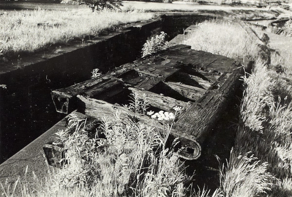 BW200-1-44-2-2 image BW200-1-44-2-2