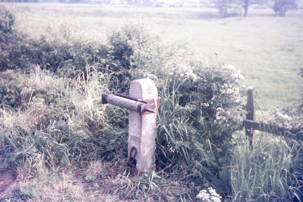 BW197-2-15-12-2 image BW197-2-15-12-2