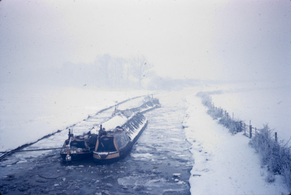 BW197-2-34-22-2 image BW197-2-34-22-2