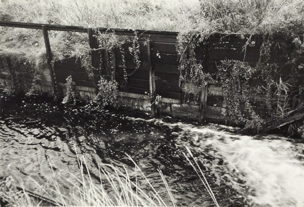 BW200-1-47-22-2 image BW200-1-47-22-2