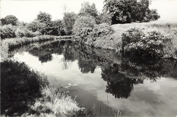 BW200-1-89-32-2 image BW200-1-89-32-2