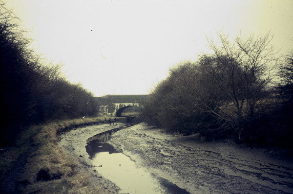 BW197-2-20-42-2 image BW197-2-20-42-2