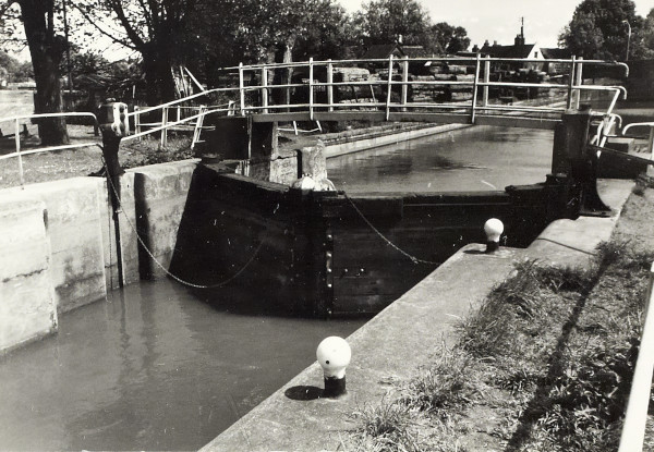 BW200-1-50-3-2 image BW200-1-50-3-2