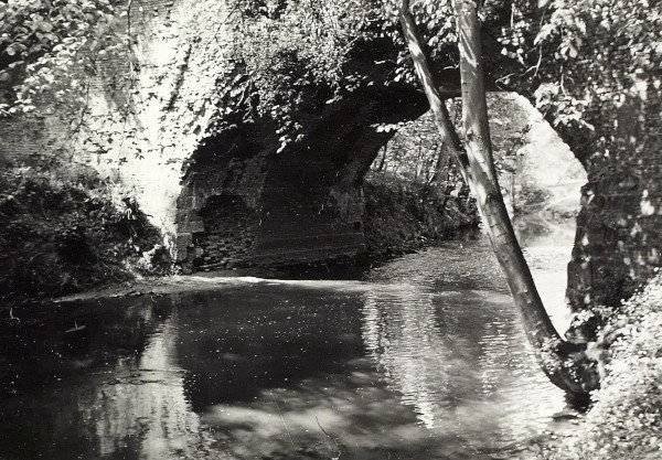 BW200-1-51-3-2 image BW200-1-51-3-2