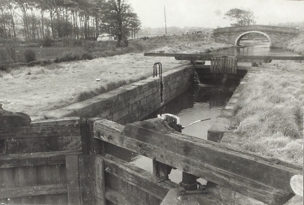 BW200-1-52-3-3-2 image BW200-1-52-3-3-2