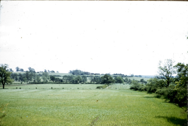 BW197-2-34-3-2 image BW197-2-34-3-2