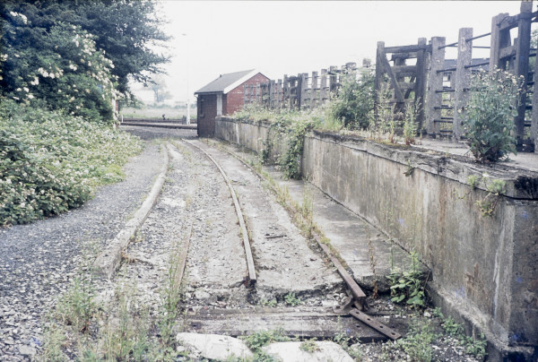 BW197-2-18-3-2 image BW197-2-18-3-2